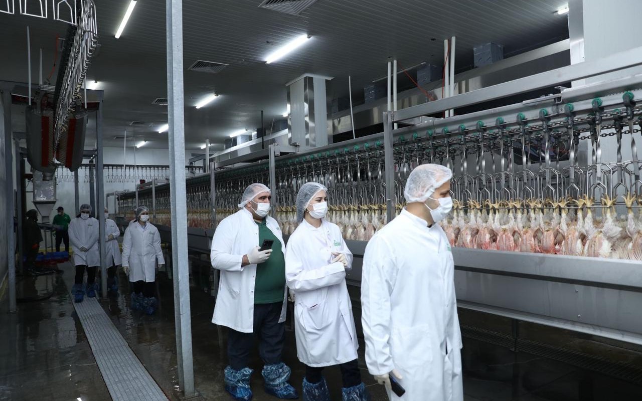 “HALAL” sertifikatı almış müəssisəyə mediatur təşkil olundu - FOTOLAR
